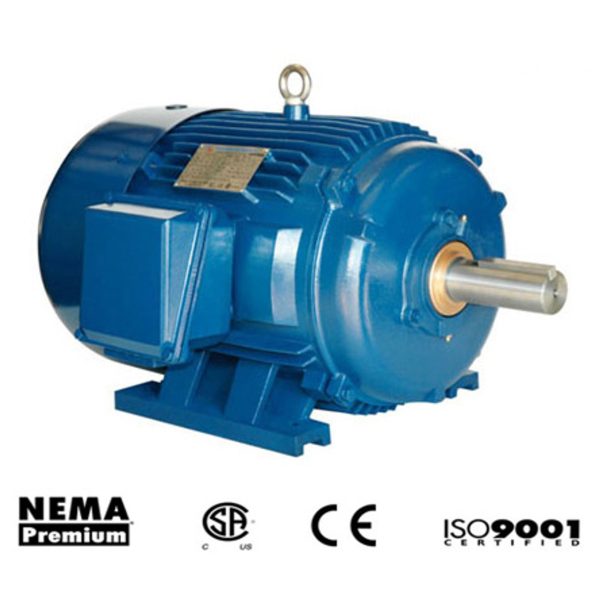 Rock Crusher Motor EM100-36-405TS