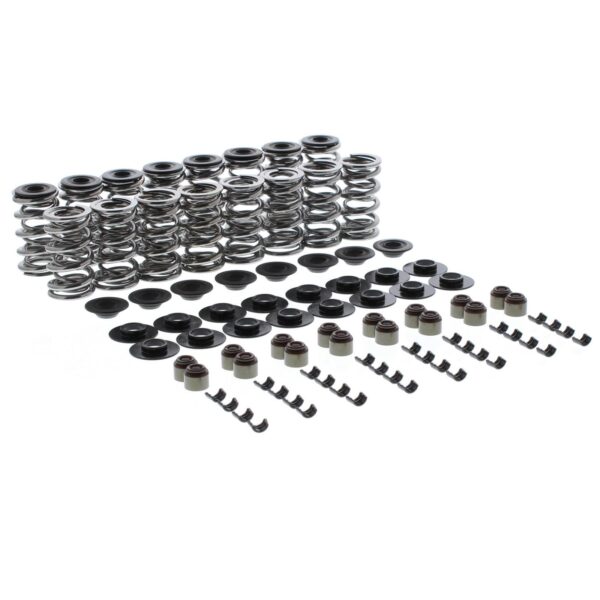 Trick Flow® Double Platinum .660 LS Dual Valve Spring and Retainer Kits TFS-2500286P