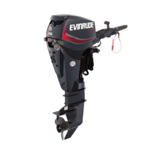 Evinrude E25DGTE E-TEC Outboard Motor