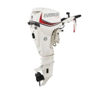 Evinrude E30DPGL E-TEC Outboard Motor